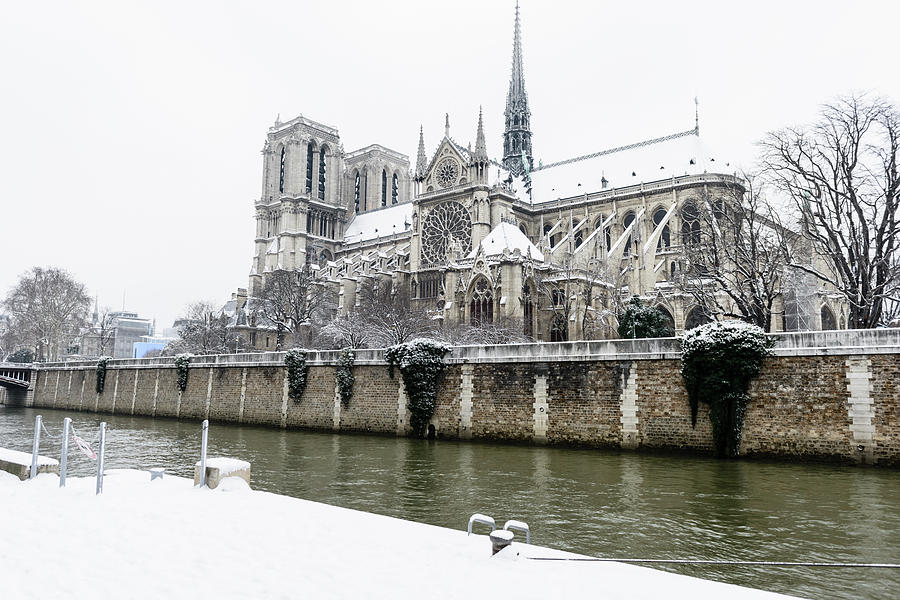 Paris In White - Notre Dame Photograph by Berthold Trenkel