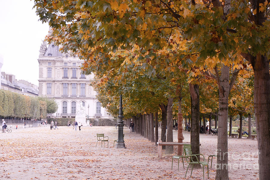Paris Louvre Jardin des Tuileries Autumn Fall Trees - Dreamy Tuileries Autumn Trees Nature Gardens Photograph by Kathy Fornal