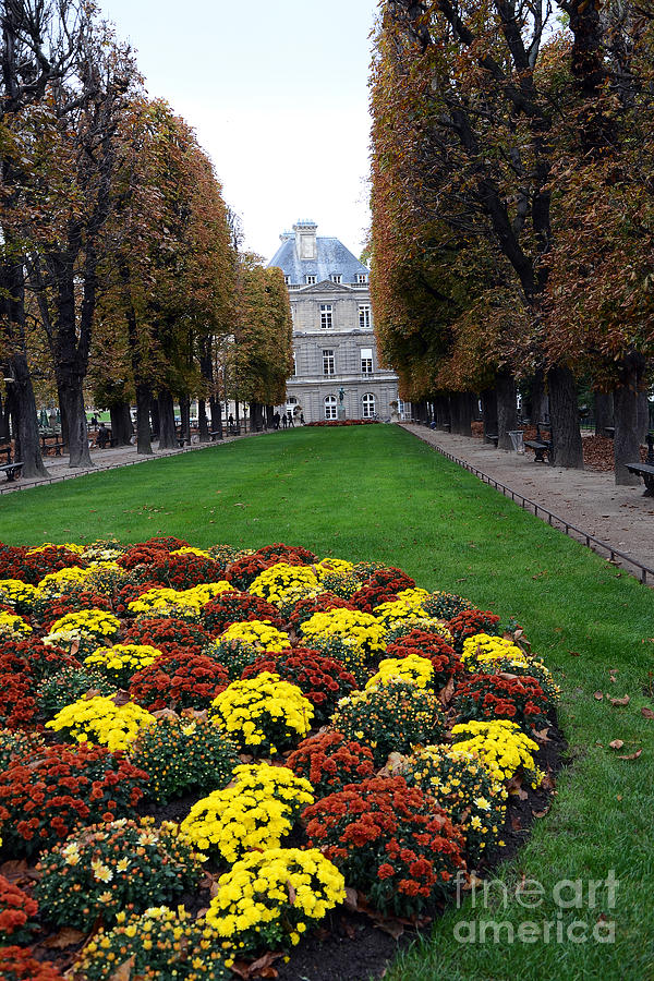 Paris Luxembourg Gardens and Trees - Luxembourg Gardens Parks Autumn - Paris Fall Autumn Colors Photograph by Kathy Fornal