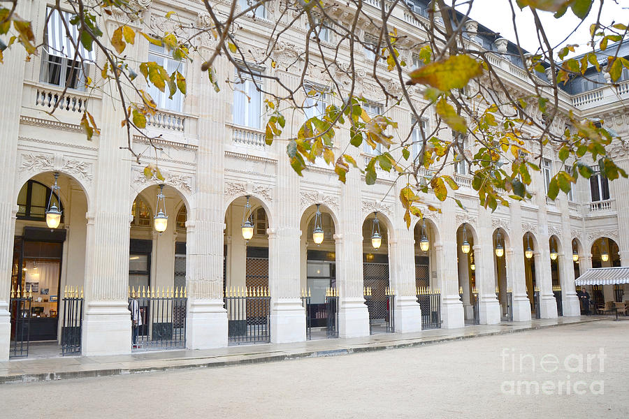 Paris Palais Royal Columns - Paris Winter White Palais Royal Architecture Photograph by Kathy Fornal