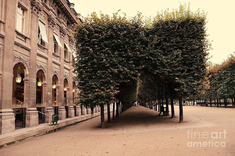 Paris Palais Royal French Palace - Paris Palais Royal Architecture - Paris Autumn Fall Trees  Photograph by Kathy Fornal
