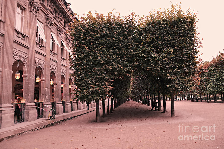 Paris Palais Royal French Palace - Paris Palais Royal Architecture - Paris Surreal Garden and Trees  Photograph by Kathy Fornal