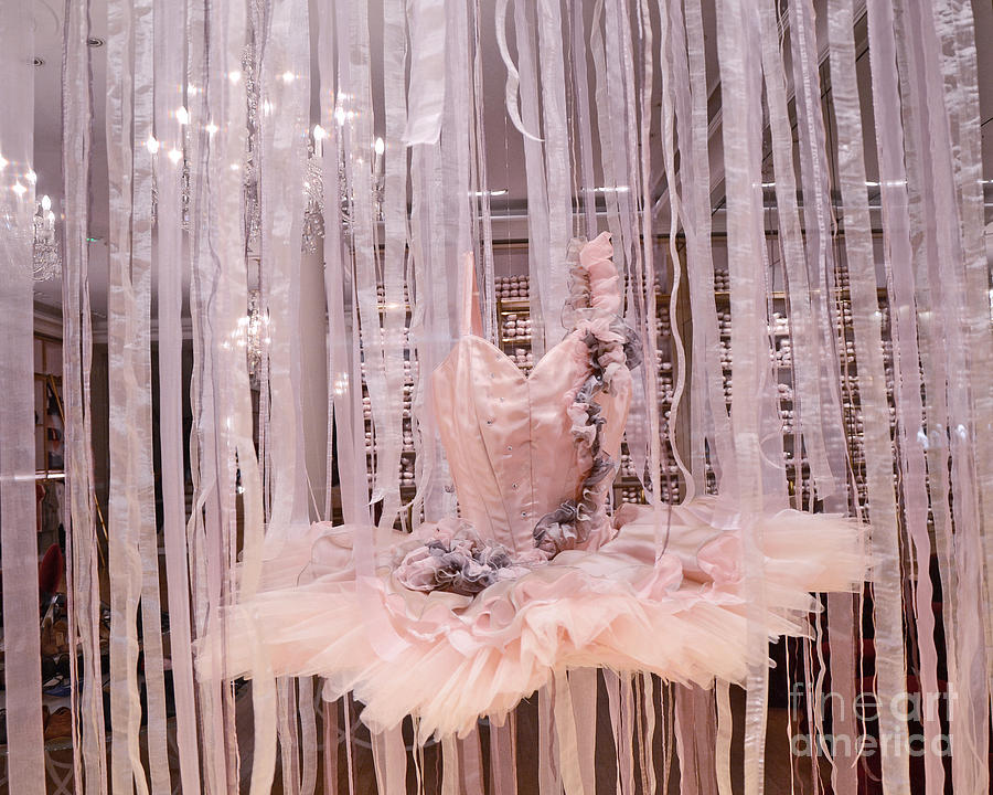 Pink Ballerina Tutu Dress Shop WIndow Display - Repetto Ballerina Pink Ballet Tutu Photograph Kathy Fornal
