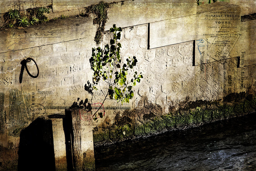 Paris Shadow of the Seine Photograph by Evie Carrier