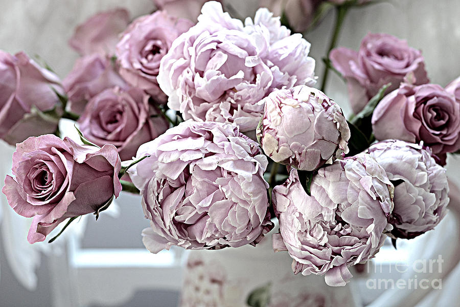 Paris Vintage Style Peonies Art - Parisian French Peonies and Roses - Lavender Peonies and Roses Photograph by Kathy Fornal