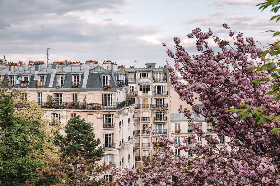 Parisian apartment building in spring Photograph by Nikada