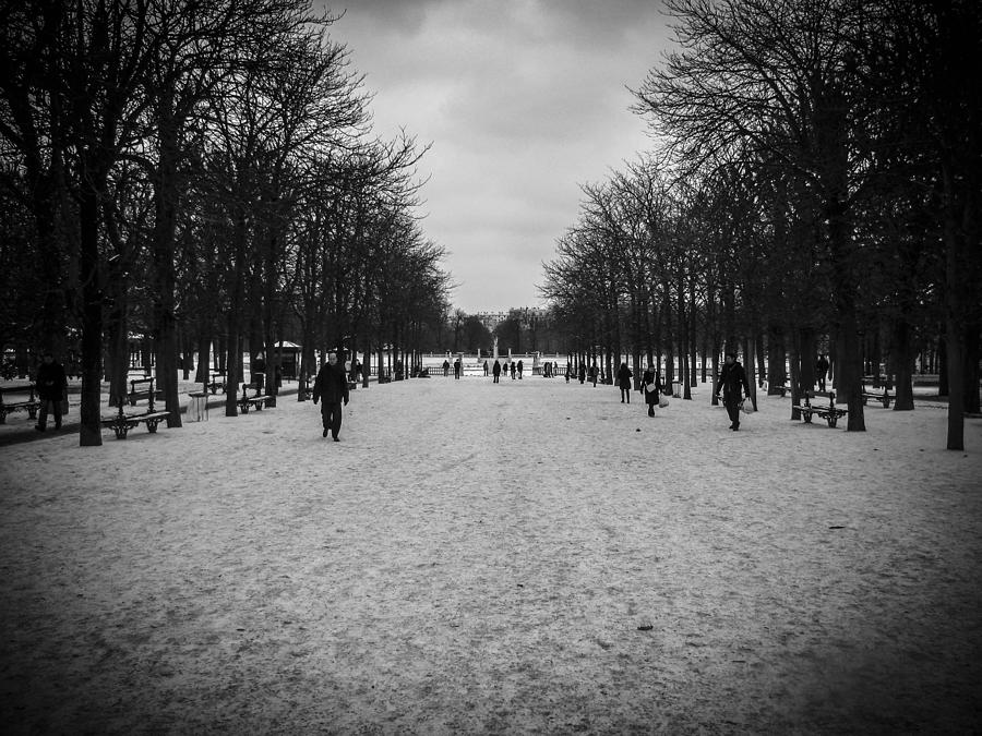 Paris Photograph - Parisian Avenue in Winter by Kaleidoscopik Photography