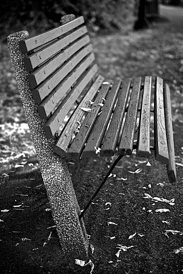 Park bench Photograph by Prince Andre Faubert
