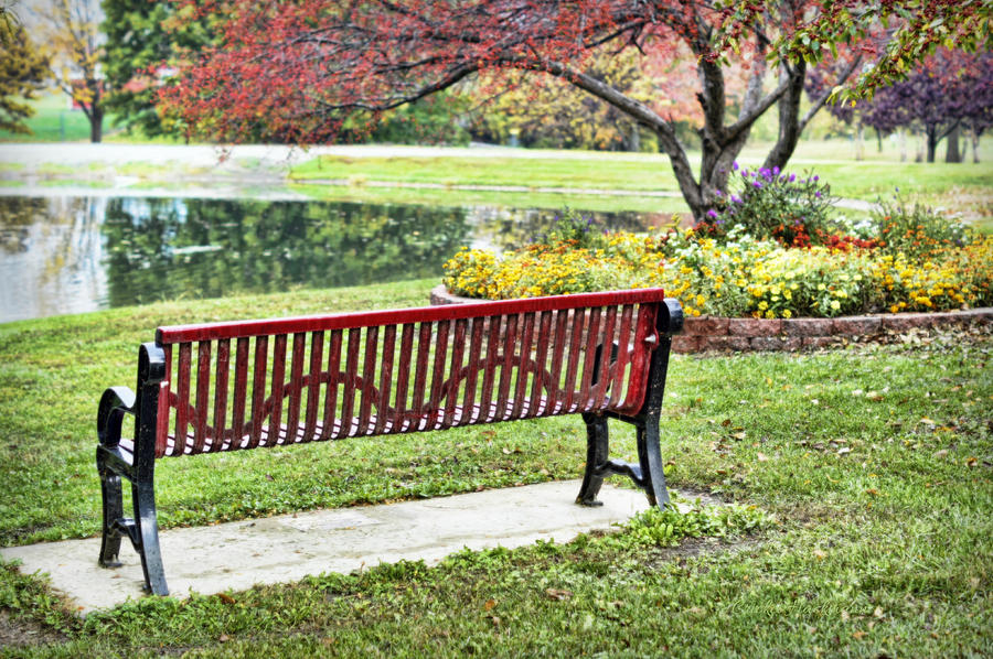 Park Bench by the Pond Photograph by Cricket Hackmann