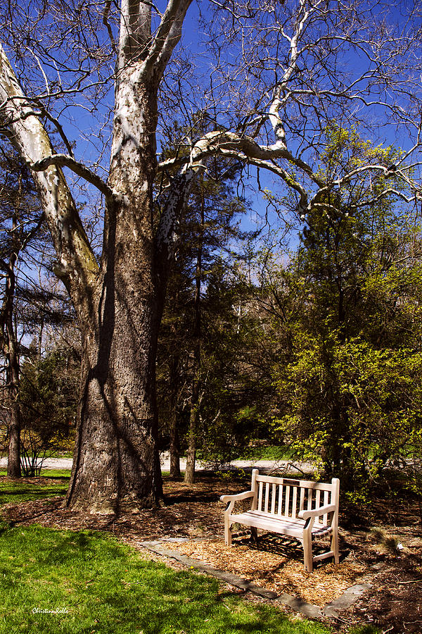 Peaceful Retreat At Cornell Arboretum Photograph by Christina Rollo