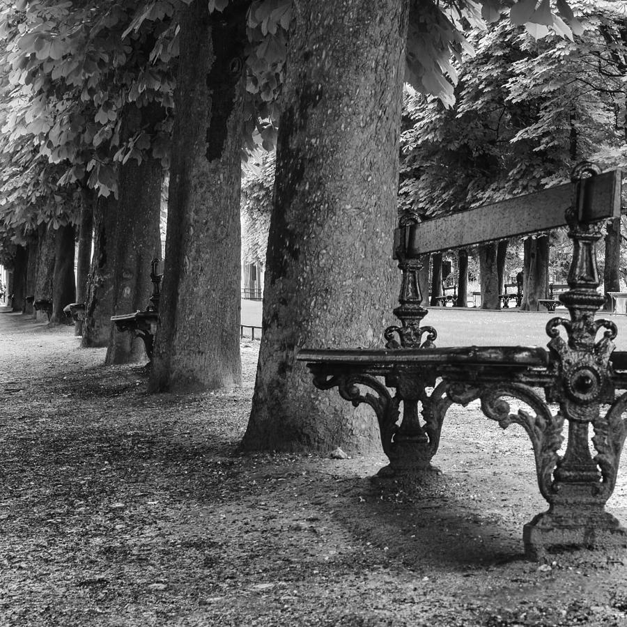 Park Bench in Paris Photograph by Georgia Clare