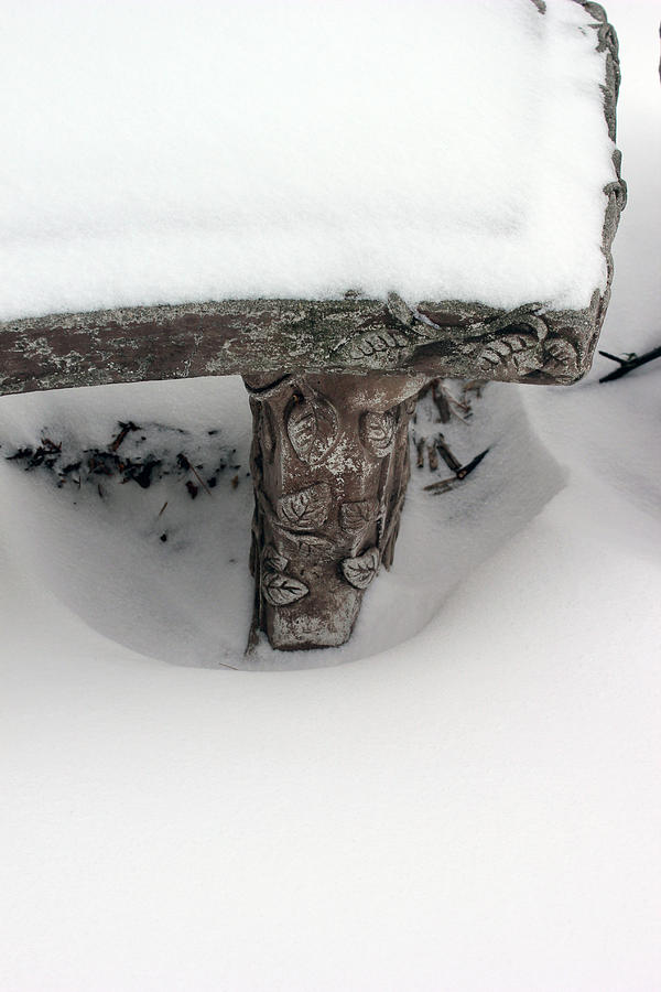 Park Bench in Snow Photograph by Mary Bedy