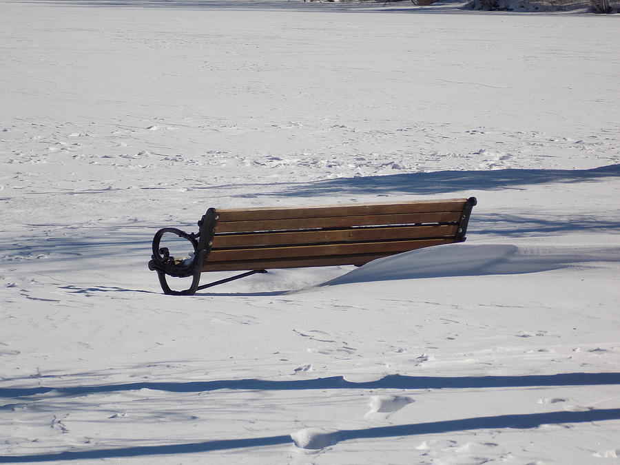 Park Bench in the Snow Photograph by Catherine Gagne