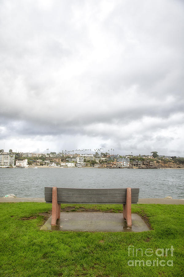 Park Bench on Balboa Island Photograph by Susan Gary