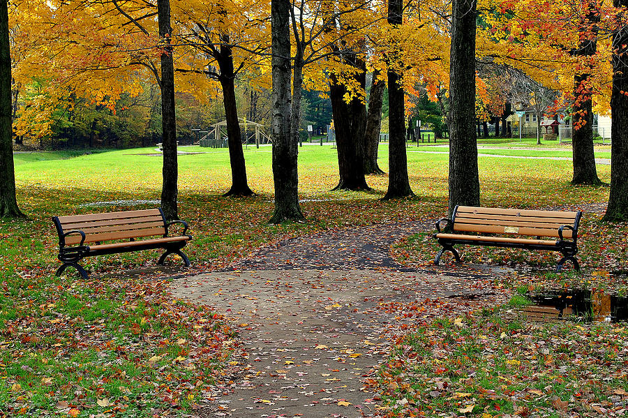 Park Bench Photograph by Frozen in Time Fine Art Photography