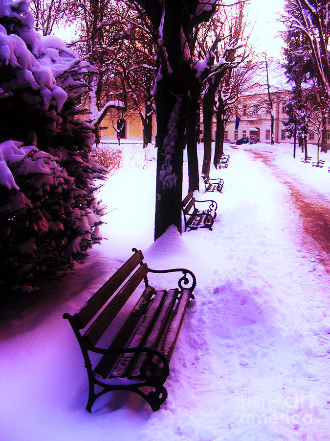 Park Benches In Snow Photograph by Nina Ficur Feenan