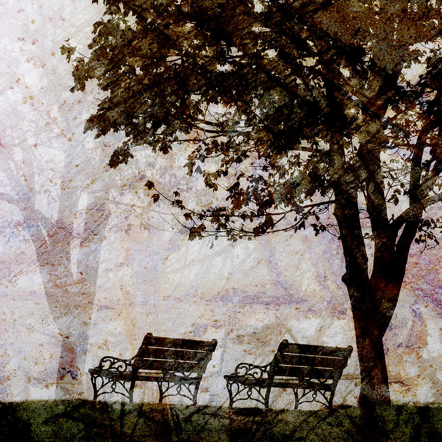 Two Photograph - Park Benches Square by Carol Leigh Two Photograph - Park Benches Square by Carol Leigh