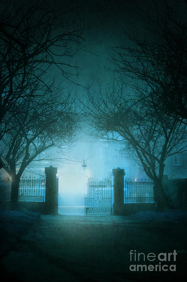 Tree Photograph - Park Gates At Night In Fog by Lee Avison