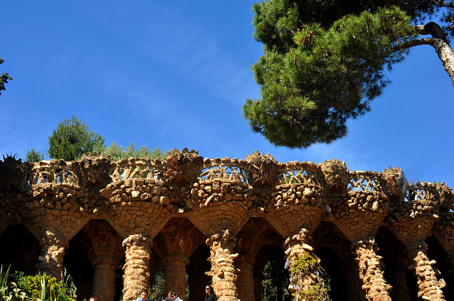 Park Guell Gaudi sculpture Barcelona Photograph by Diane Lent