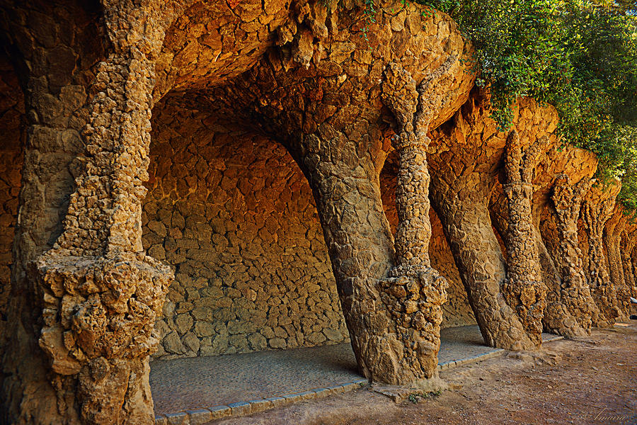 Park Guell In Barcelona Photograph by Maria Angelica Maira