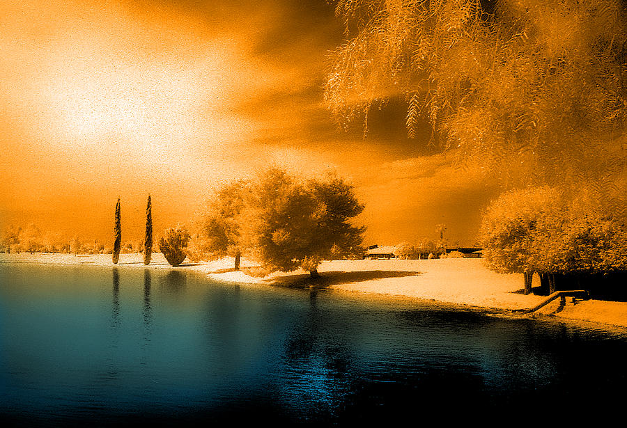 Park in Infrared Photograph by Jim Painter