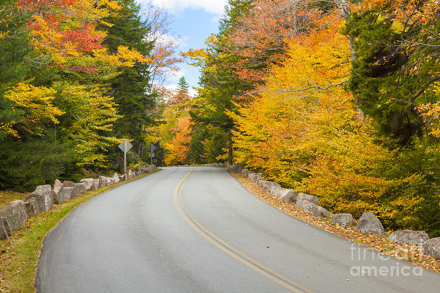 Park Loop Road in Autumn Acadia National Park Maine Photograph by Ken Brown