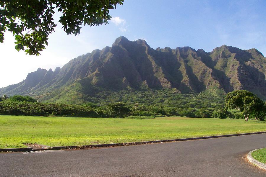 Park on Oahu Photograph by Kenneth Cole