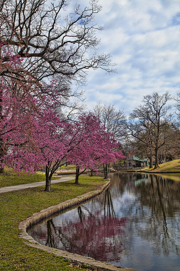 Park Reflection Photograph by John Bonenfant - Fine Art America