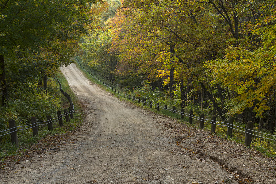 Fall Photograph - Park Road Autumn 2 A by John Brueske