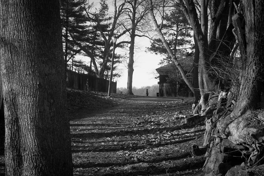Tree Photograph - Park Stroll by Richie Stewart