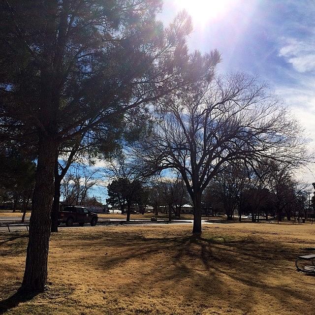 Spring Photograph - #park #sun #artesia #nm #color #spring by Jared Campbell