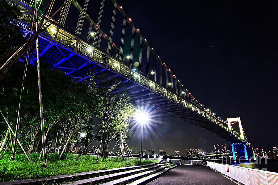 Park Underneath the Rainbow Bridge in Tokyo Photograph by Beverly Claire Kaiya