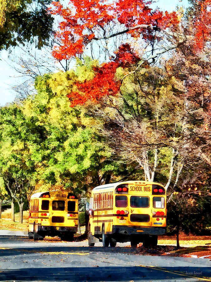 Parked School Buses Photograph by Susan Savad