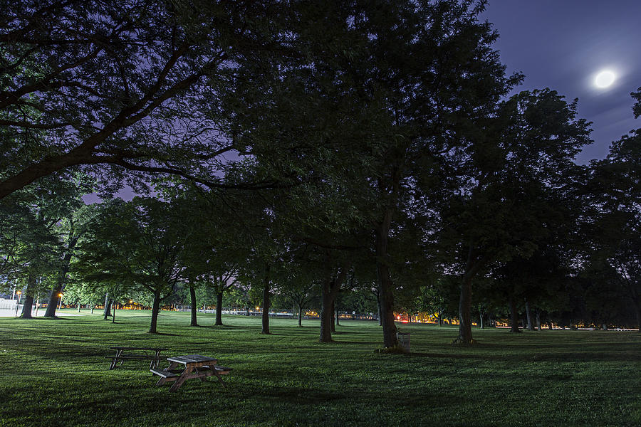 Parks by Night - Part One Photograph by CJ Schmit