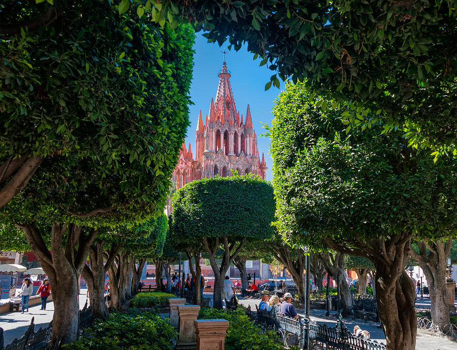 Parroquia Through the Jardin in San Miguel Photograph by Niels