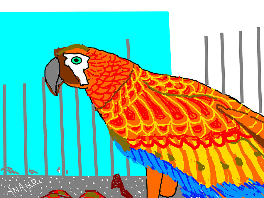 Parrot-2 Digital Art by Anand Swaroop Manchiraju