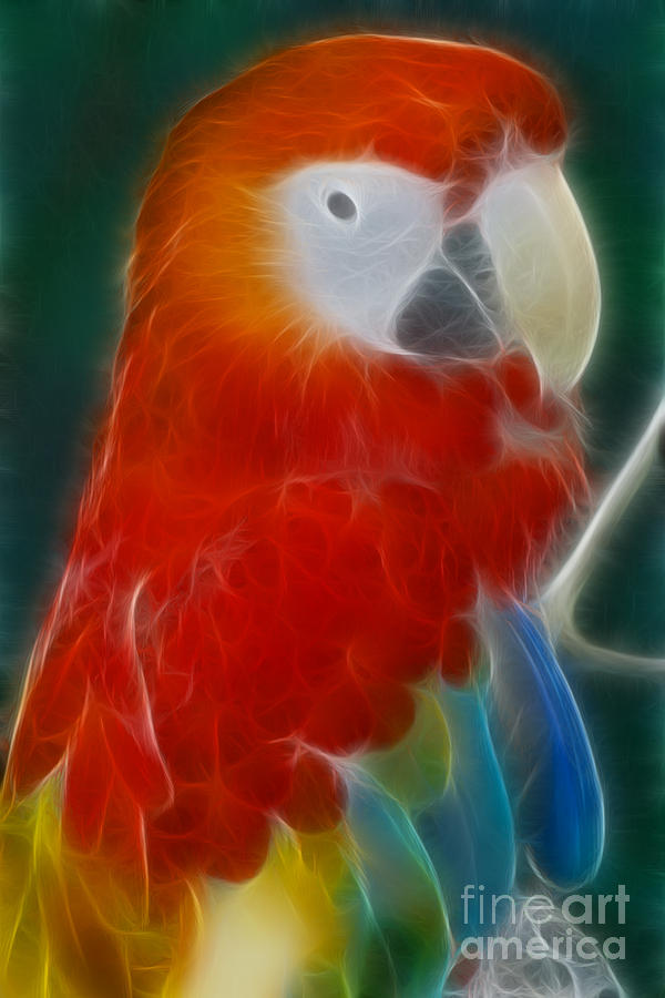 Parrot Photograph - Parrot-6141-Fractal by Gary Gingrich Galleries