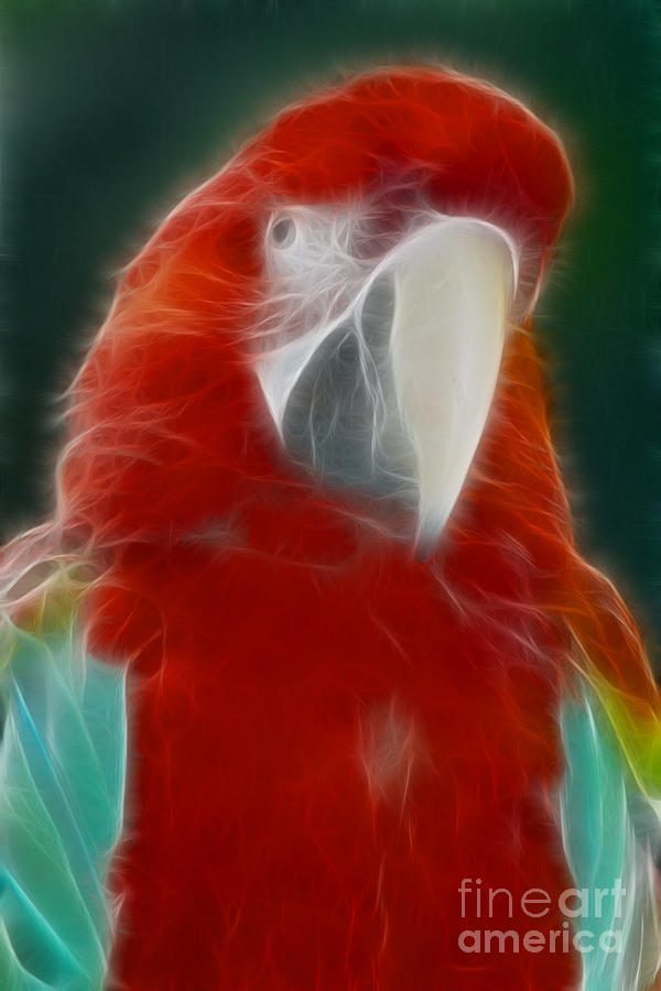 Parrot Photograph - Parrot-6164-Fractal by Gary Gingrich Galleries
