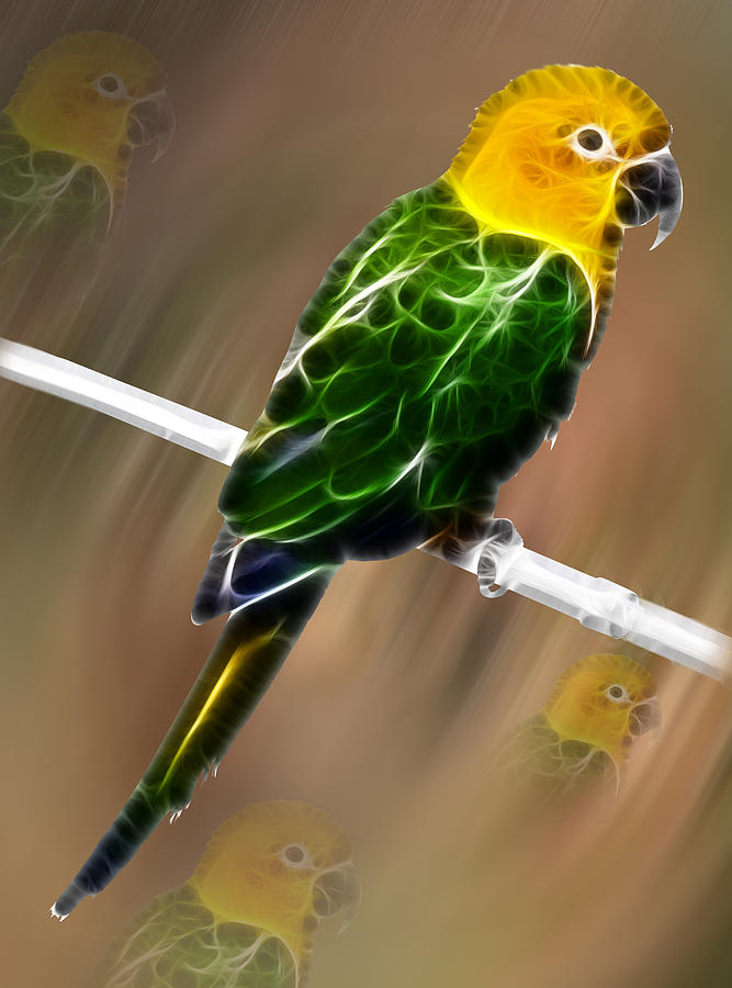 Parrot Beauty Digital artwork Painting by Georgeta Blanaru