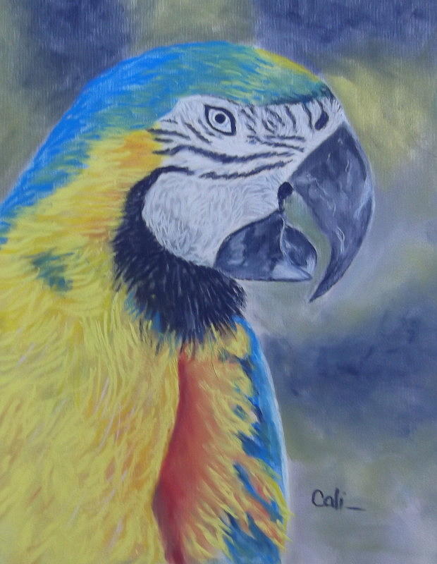 Bird Pastel - Parrot by Calliope Thomas Bird Pastel - Parrot by Calliope Thomas
