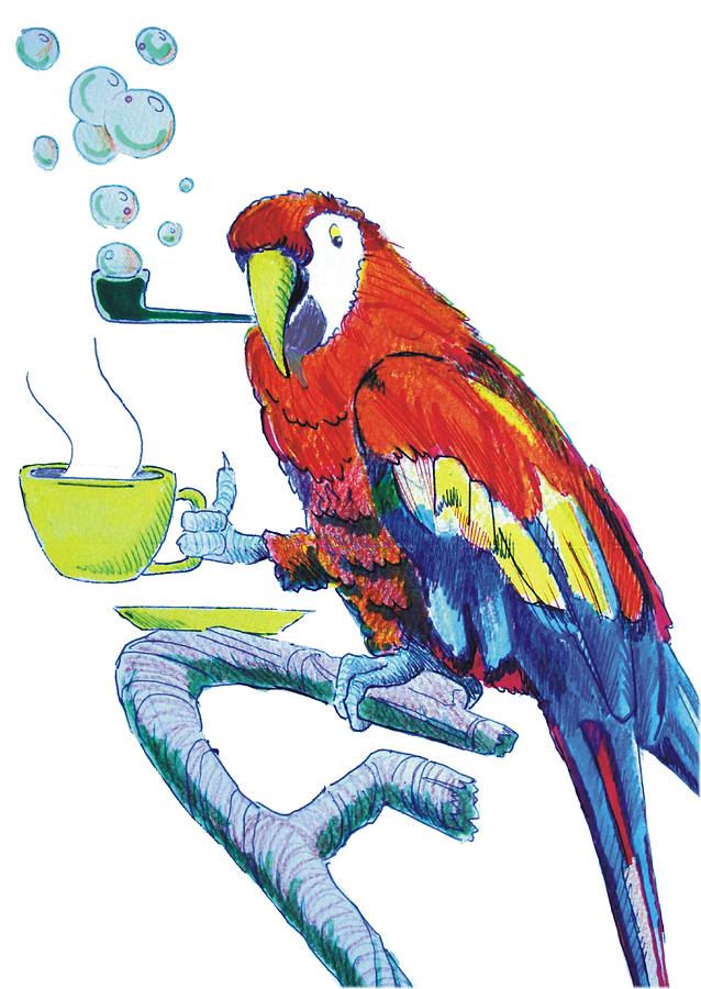 Featured image of post Macaw Cartoon Drawing Scarlet macaw is large size red yellow and blue color combination parrot