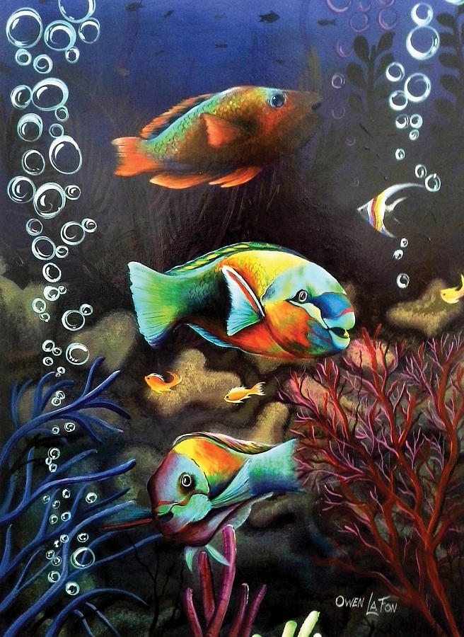 Parrot Fish by Owen Lafon Parrot Fish by Owen Lafon