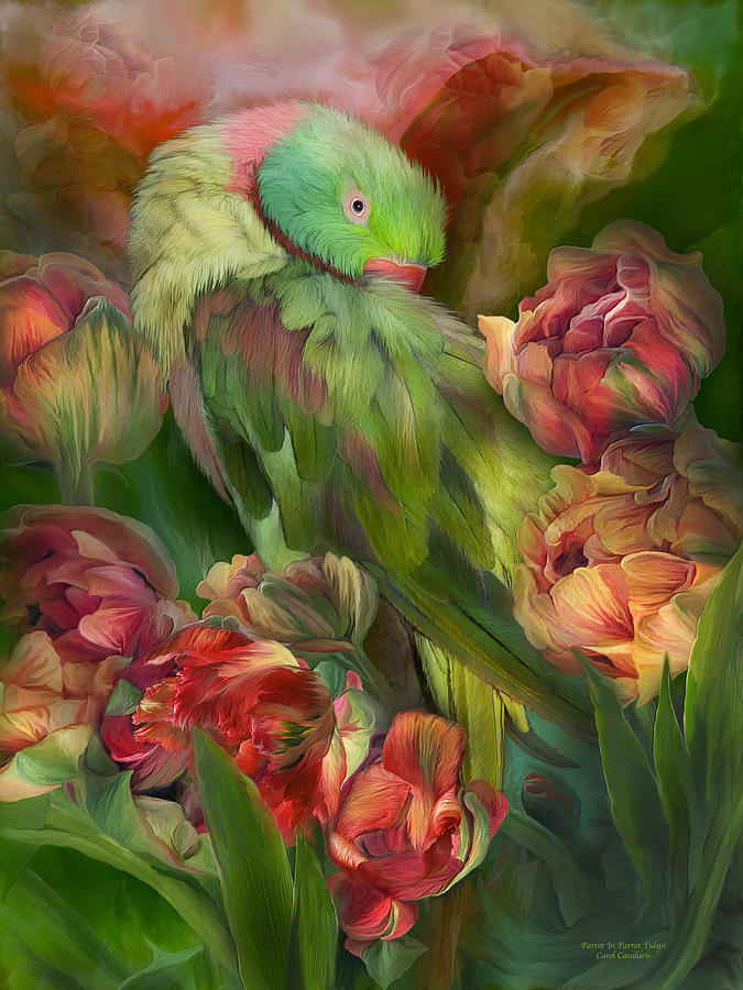 Parrot Mixed Media - Parrot In Parrot Tulips by Carol Cavalaris