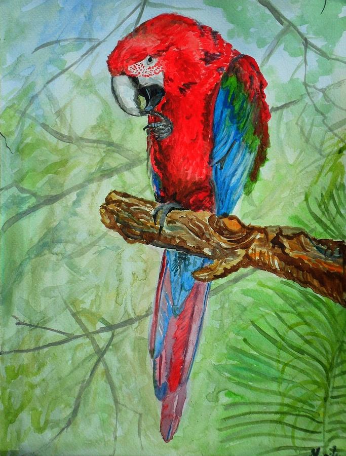 Parrot Painting by Marily Valkijainen