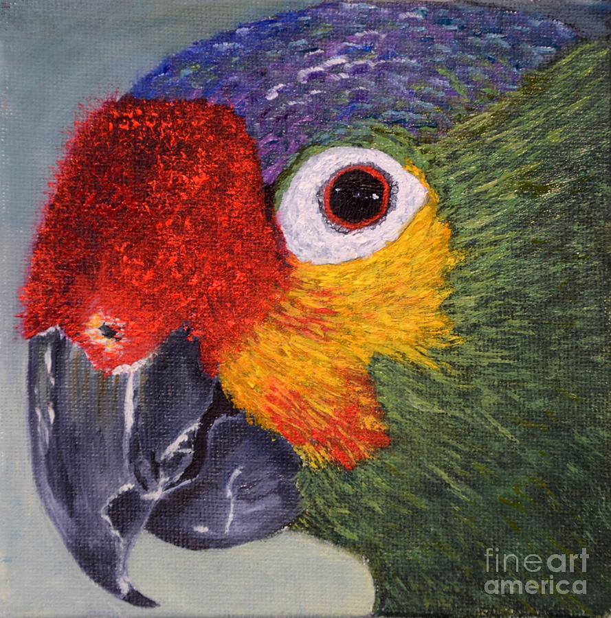 Parrot Painting by Marsha Thornton