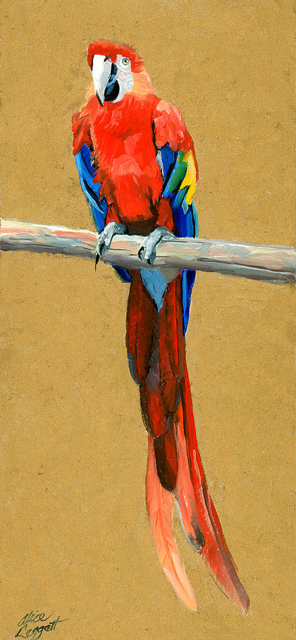 Parrot Painting - Parrot Perch by Alice Leggett