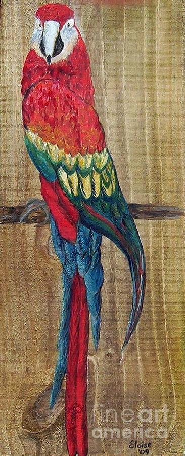 Parrot Painting - Parrot - Scarlet Macaw by Eloise Schneider Mote