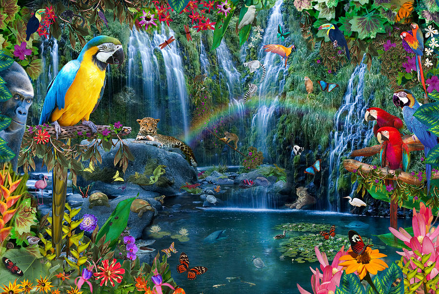 Parrot Photograph - Parrot Tropics by MGL Meiklejohn Graphics Licensing