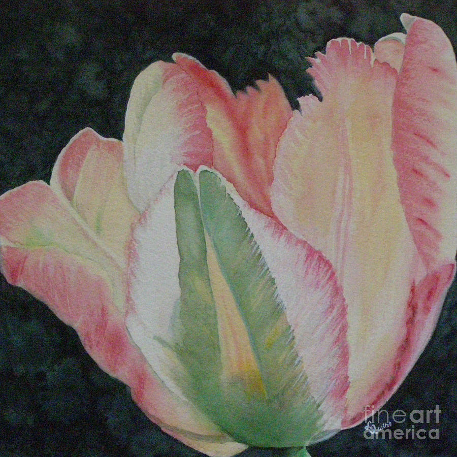 Parrot Tulip Painting by Lynn Quinn