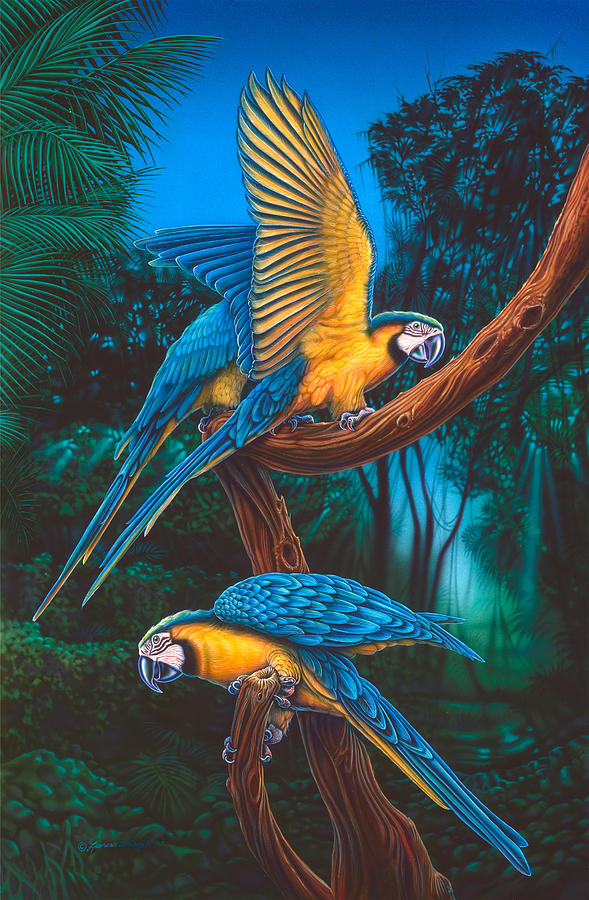 Parrots 2 Painting by JQ Licensing